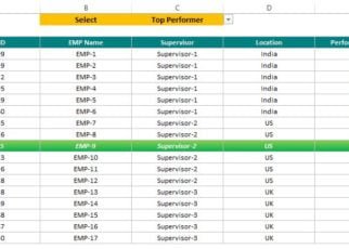 Highlight Top and Bottom Performer