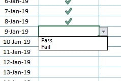 Pass/Fail drop down