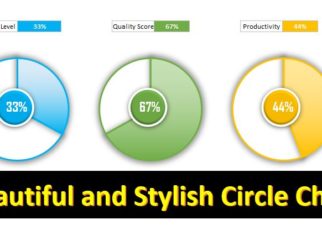 Stylish Circle Chart