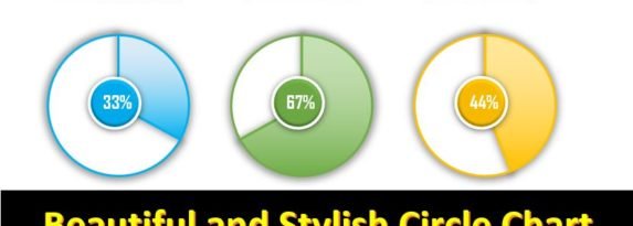 Stylish Circle Chart