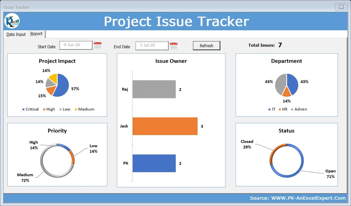 Project Issue Tracker - Report Tab
