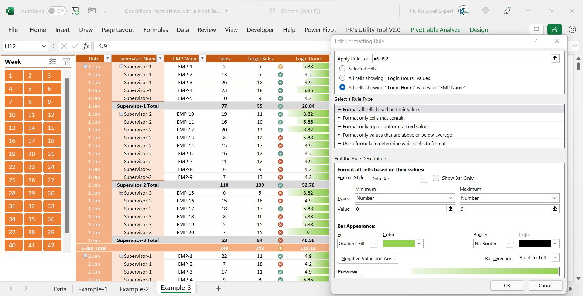 Data Bar Conditional formatting