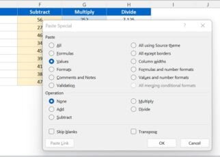 Paste Special in Microsoft Excel