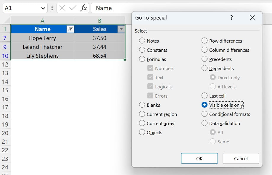 Select Visible Cells Only