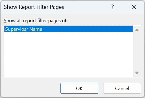 Show Report Filter Pages window