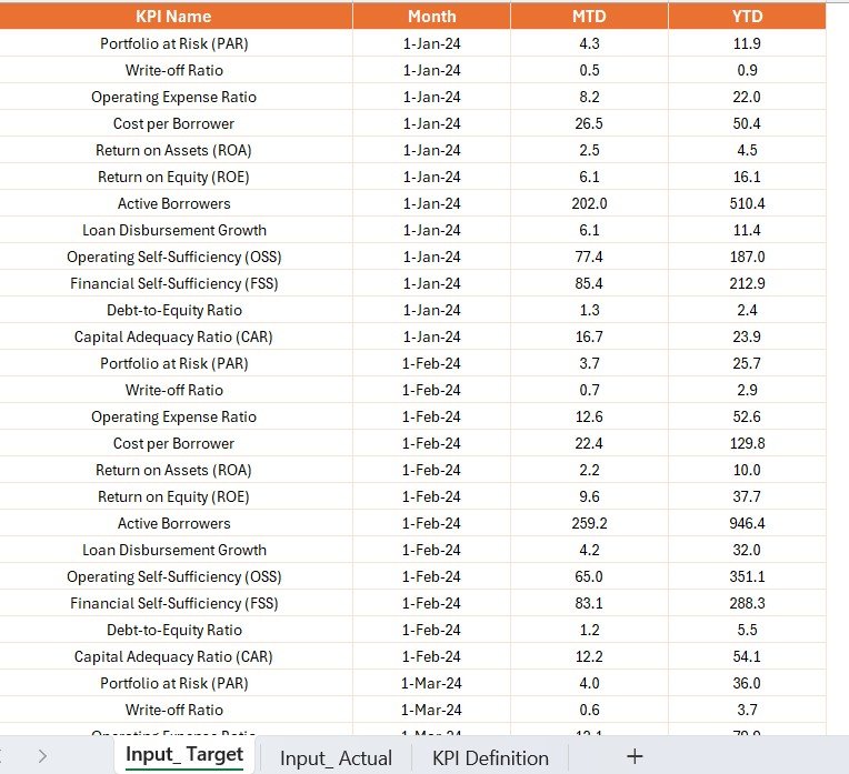 Input_Actual Sheet