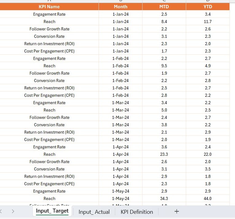 Input_Actual Sheet