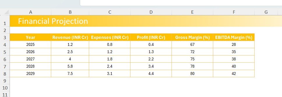  Financial Projection