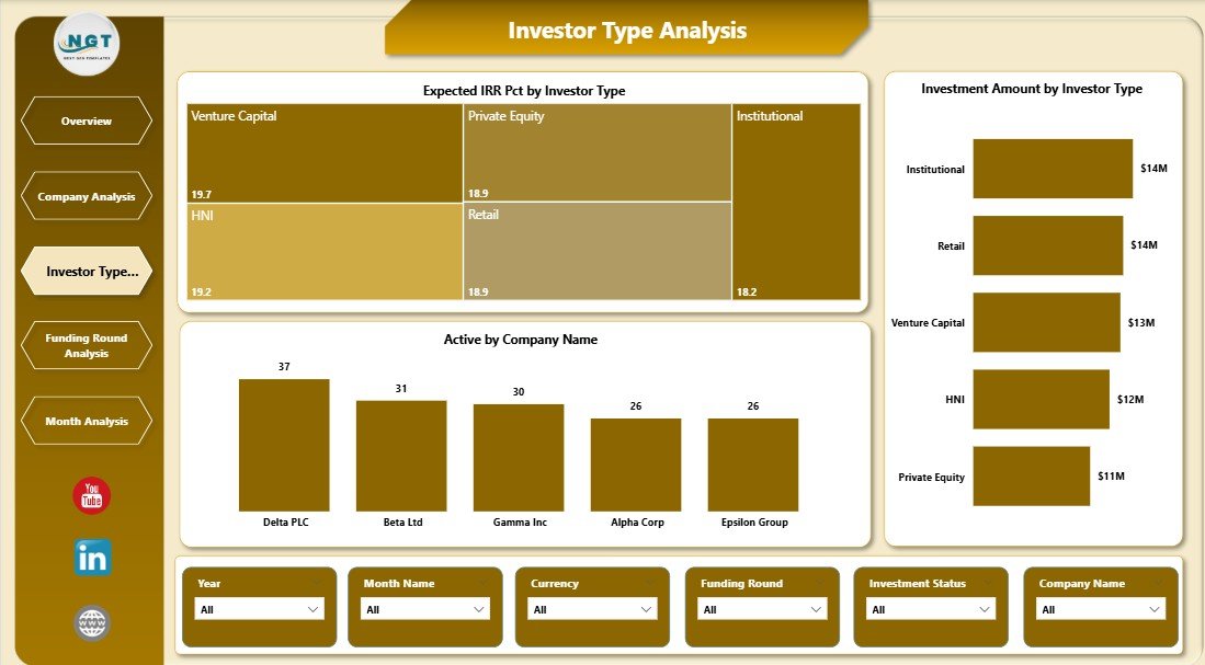Investor Type Analysis