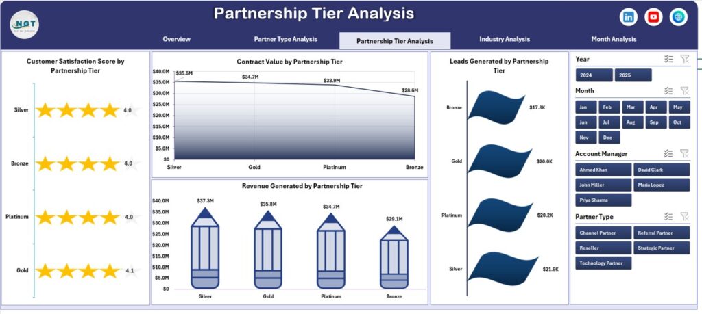Partner Level Grid Partner Alliances Dashboard in Excel - PK: An Excel Expert
