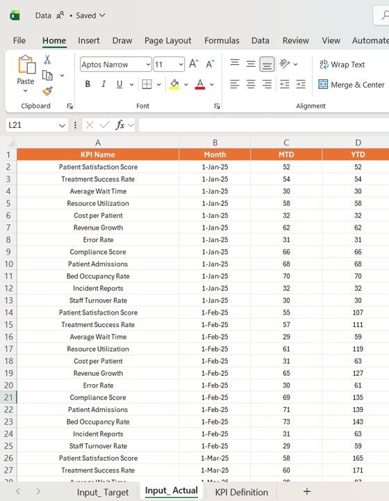 Input_Actual Sheet: