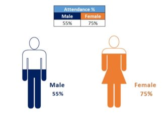 Male and Female Info-graphics in Excel