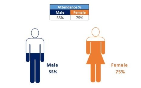 Male and Female Info-graphics in Excel