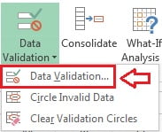 Data Validation Option